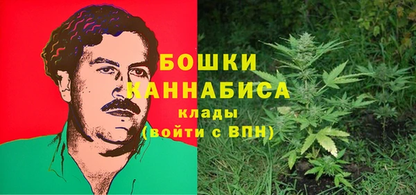 сатива Алексин