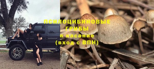 сатива Алексин