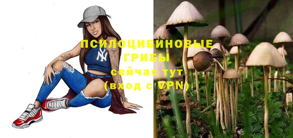 крисы Алексеевка