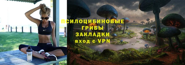 крисы Алексеевка