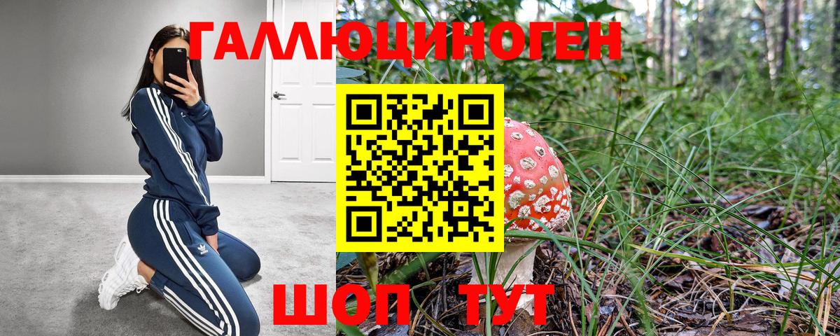Галлюциногенные грибы GOLDEN TEACHER  наркота  Карпинск  Вход с VPN 