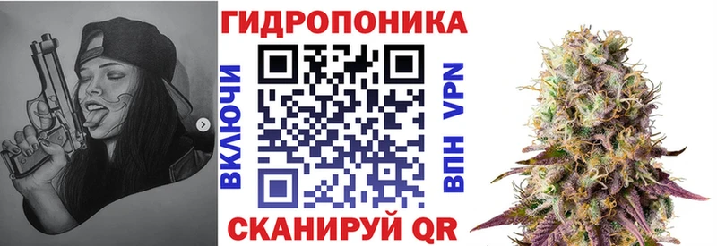 наркота  Карпинск  Бошки марихуана планчик 
